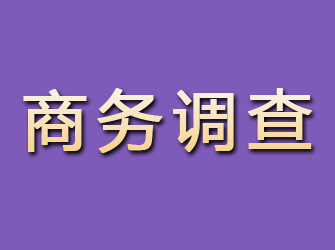 托克托商务调查